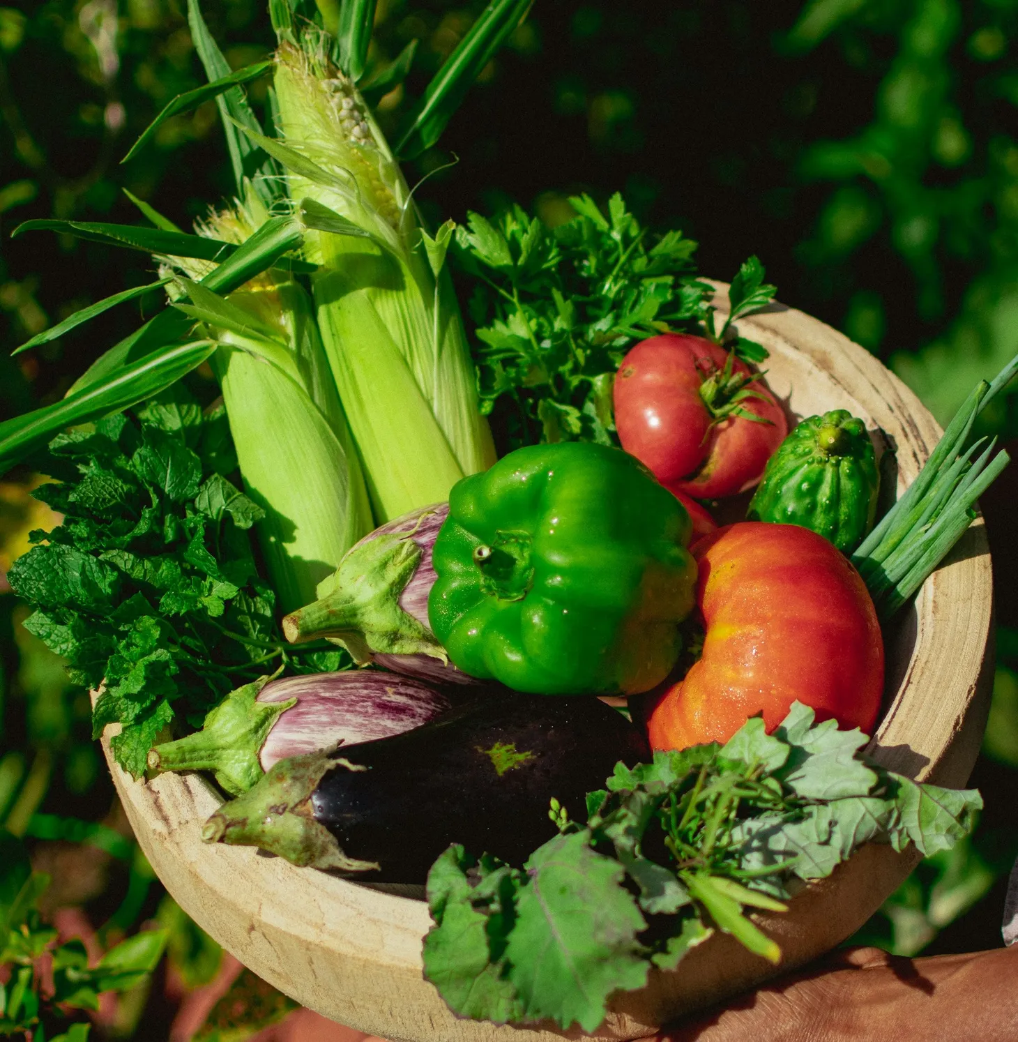 The Revolution Begins in the Garden [#13]