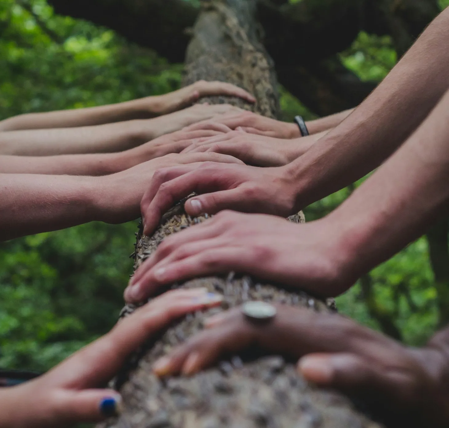 On Meaningful Encounters - Connection, Collaboration, Creation & Fun [#15]