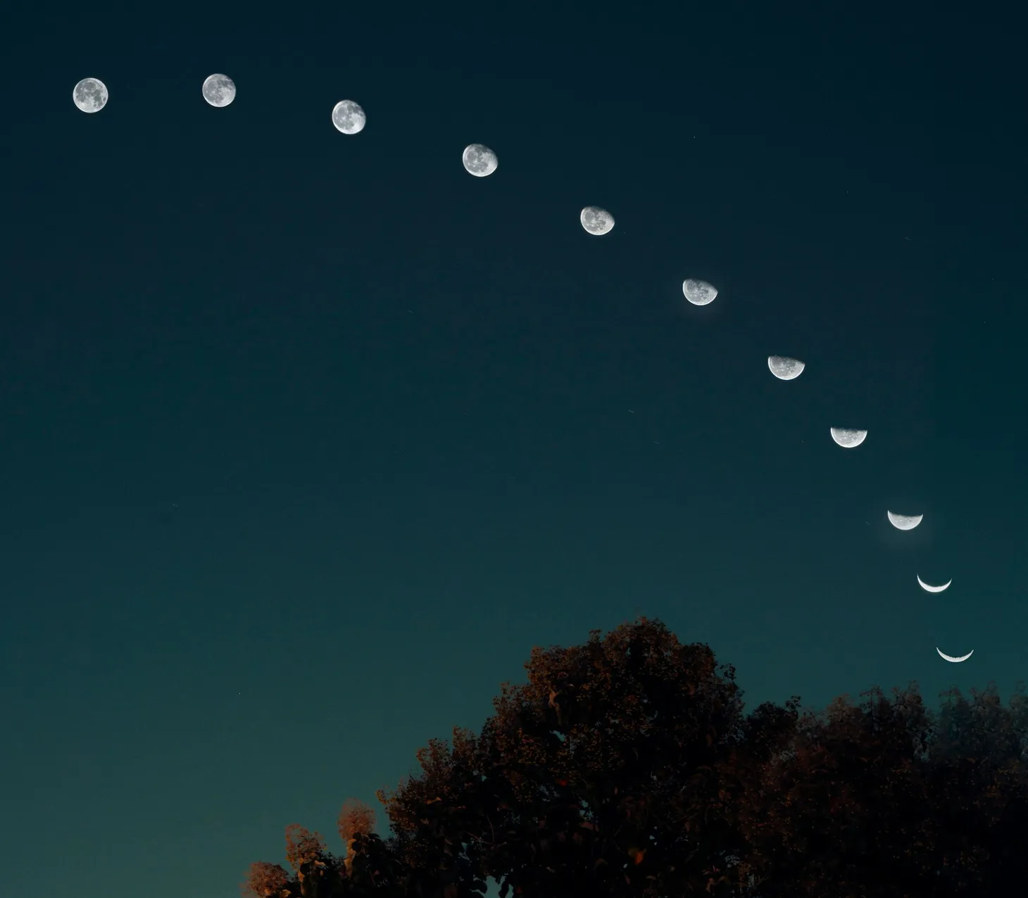 Living in Line With the Cycles [#17]