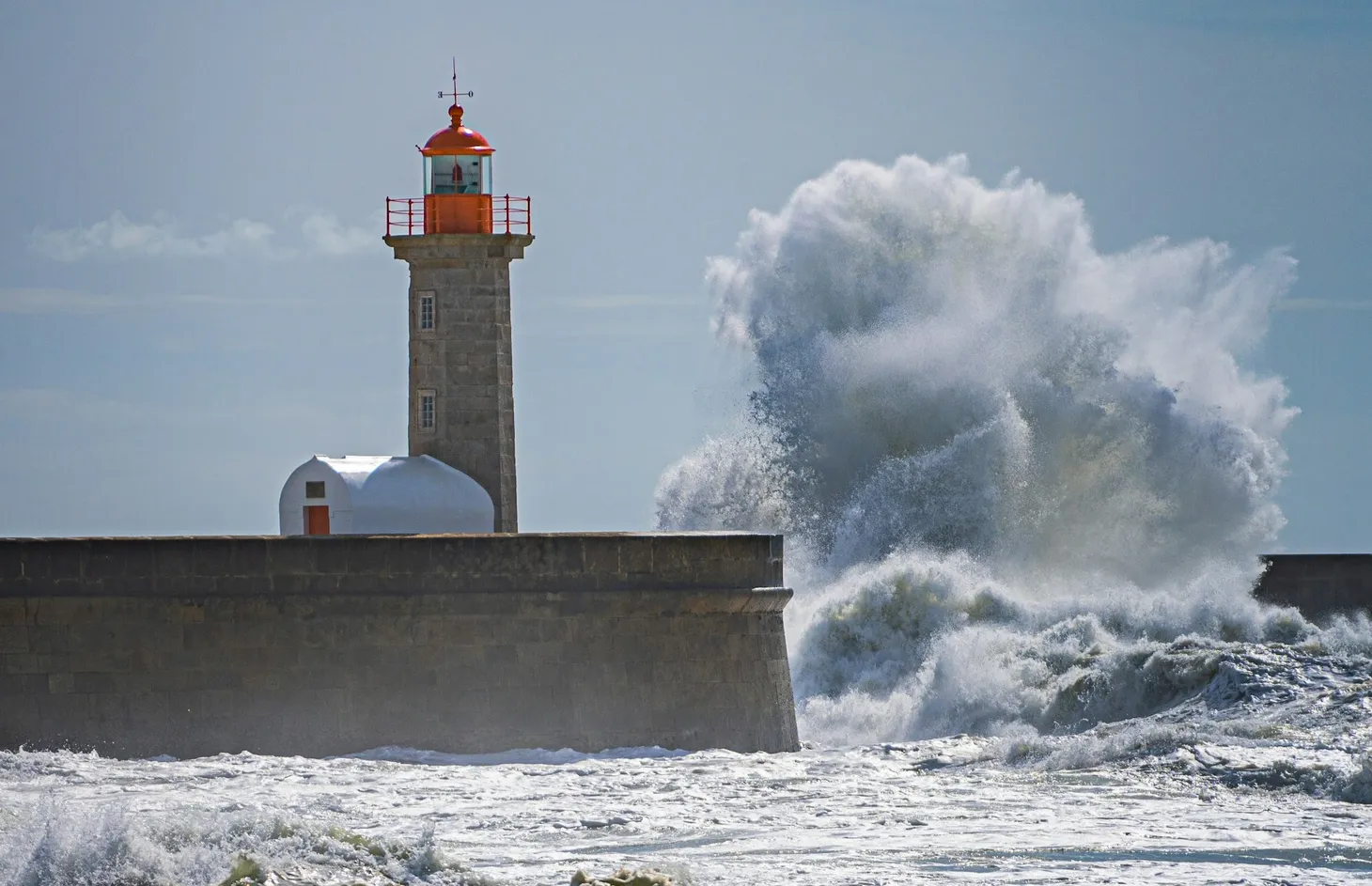 Cultivating Resilience in Changing Times [#24]